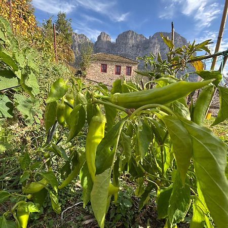 Morfeas Guesthouse Papingo Buitenkant foto
