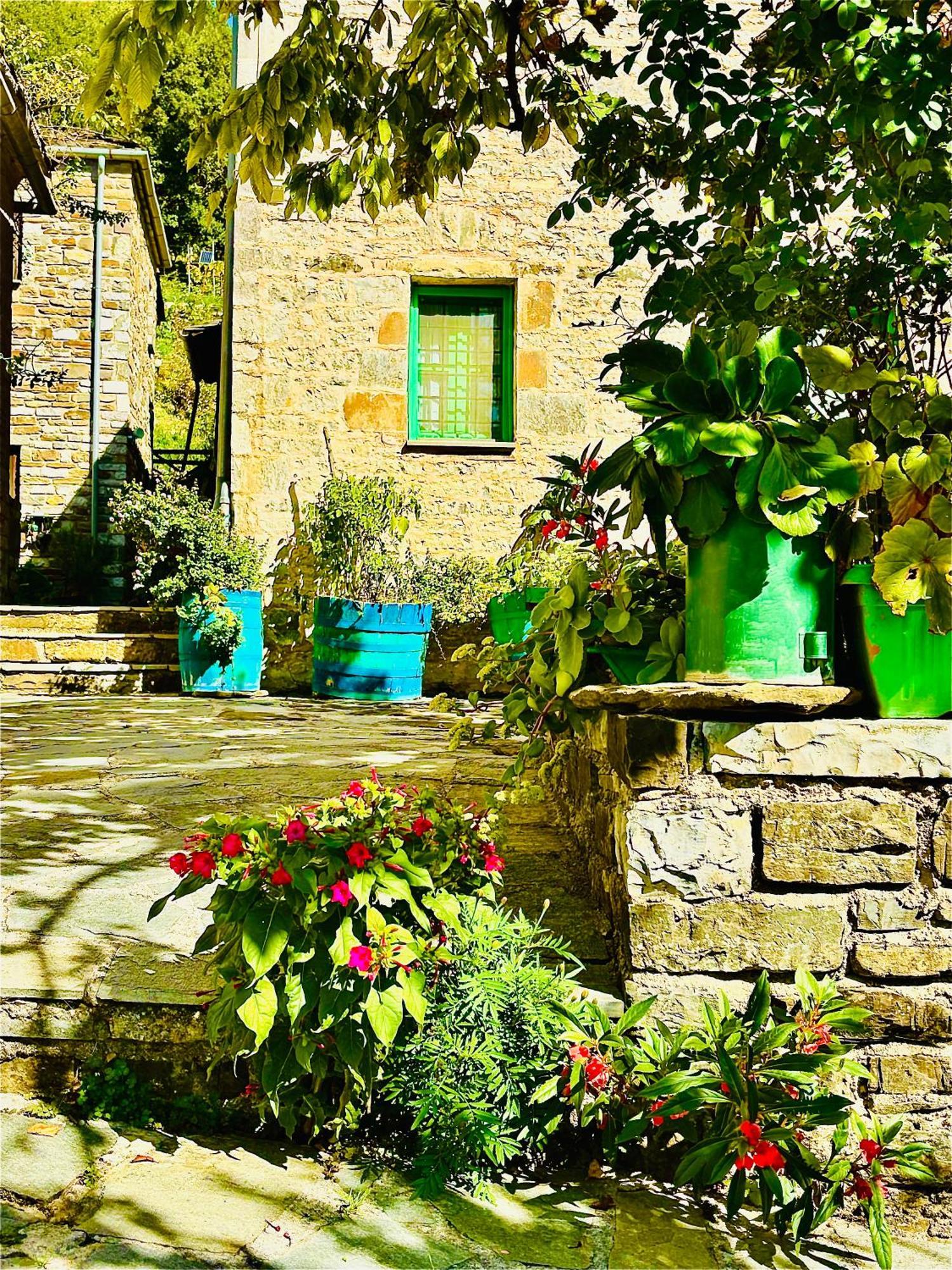 Morfeas Guesthouse Papingo Buitenkant foto
